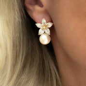 Lily Stargazer Pearl Dangle Drop Earrings | Gold