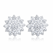 Pair of cluster stud earrings on a white background
