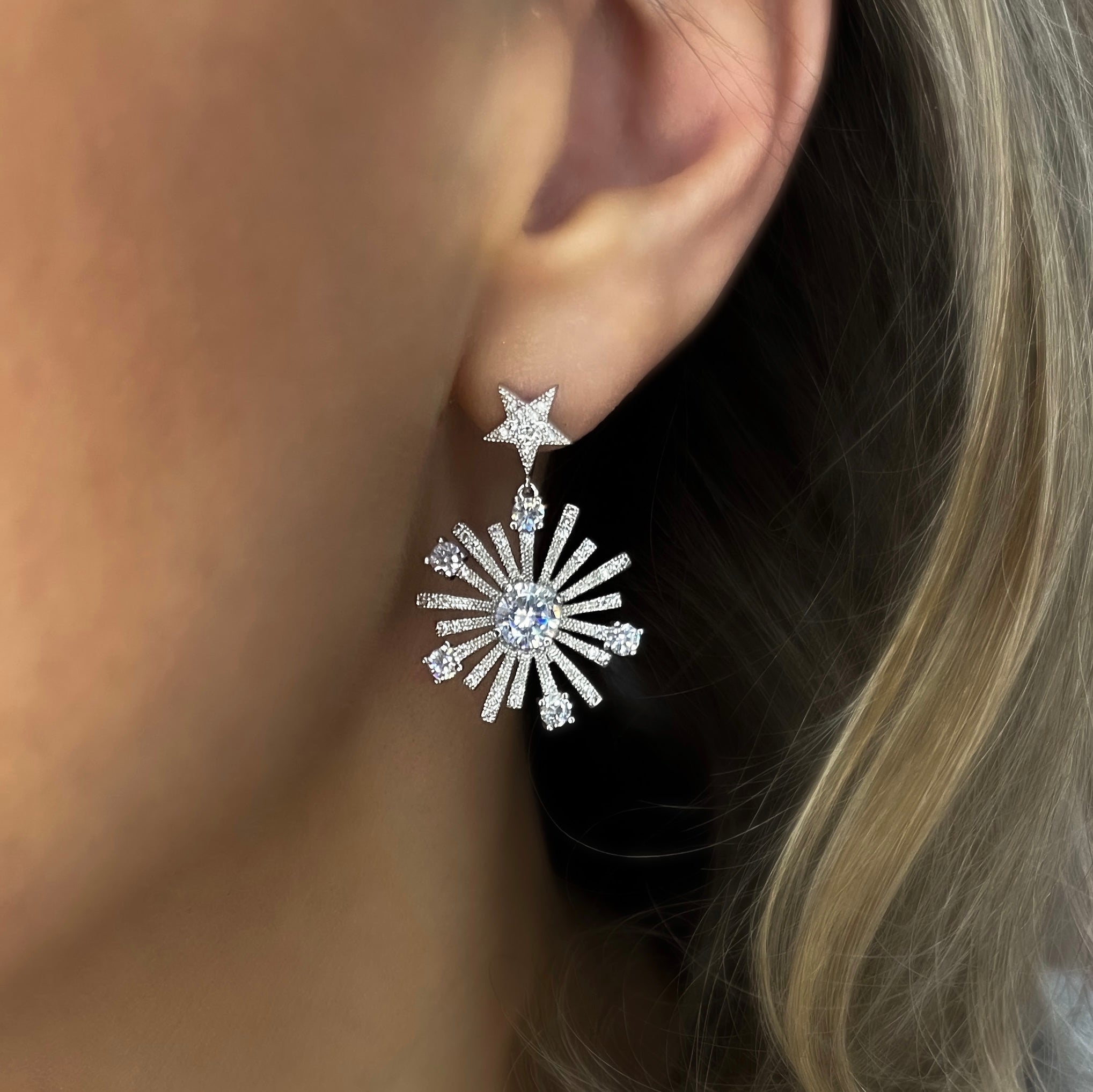 Moonlight Drop Earrings | Silver